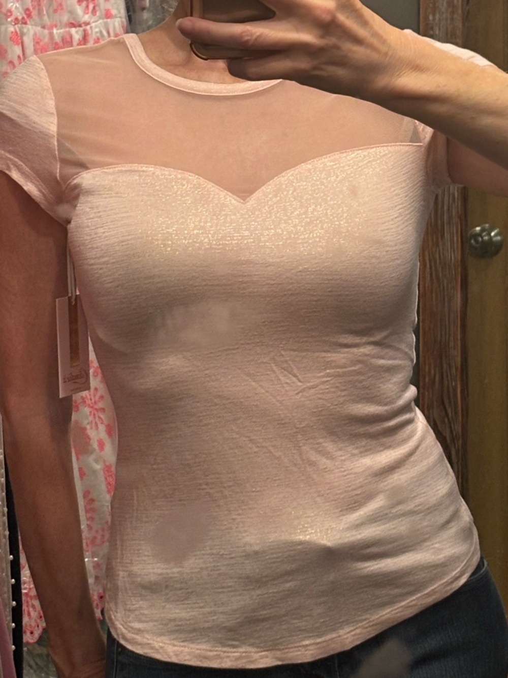 Sheer-Panel Sweetheart Neck Pink Women's Top